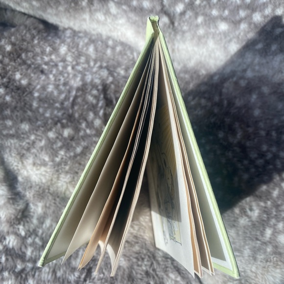 Vintage 1st Edition 1960 hardcover book Harry and the Lady Next Door -Gene Zion - Picture 10 of 10